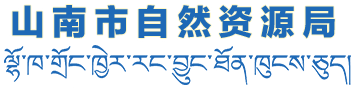 山南市自然资源局